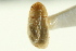  ( - CNC COLEO 00138884)  @12 [ ] CreativeCommons - Attribution (2012) CNC/CBG Photography Group Centre for Biodiversity Genomics