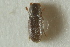  ( - CNC COLEO 00138894)  @11 [ ] CreativeCommons - Attribution (2012) CNC/CBG Photography Group Centre for Biodiversity Genomics