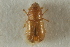  ( - CNC COLEO 00138916)  @11 [ ] CreativeCommons - Attribution (2012) CNC/CBG Photography Group Centre for Biodiversity Genomics