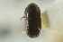  ( - CNC COLEO 00138925)  @11 [ ] CreativeCommons - Attribution (2012) CNC/CBG Photography Group Centre for Biodiversity Genomics