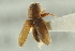  ( - CNC COLEO 00139018)  @11 [ ] CreativeCommons - Attribution (2012) CNC/CBG Photography Group Centre for Biodiversity Genomics