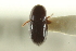  ( - CNC COLEO 00139027)  @11 [ ] CreativeCommons - Attribution (2012) CNC/CBG Photography Group Centre for Biodiversity Genomics