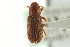  ( - CNC COLEO 00139045)  @11 [ ] CreativeCommons - Attribution (2012) CNC/CBG Photography Group Centre for Biodiversity Genomics