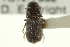  ( - CNC COLEO 00139128)  @11 [ ] CreativeCommons - Attribution (2012) CNC/CBG Photography Group Centre for Biodiversity Genomics