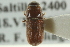  ( - CNC COLEO 00139136)  @11 [ ] CreativeCommons - Attribution (2012) CNC/CBG Photography Group Centre for Biodiversity Genomics