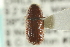  ( - CNC COLEO 00139146)  @12 [ ] CreativeCommons - Attribution (2012) CNC/CBG Photography Group Centre for Biodiversity Genomics