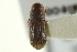  ( - CNC COLEO 00139149)  @11 [ ] CreativeCommons - Attribution (2012) CNC/CBG Photography Group Centre for Biodiversity Genomics
