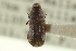  ( - CNC COLEO 00139151)  @11 [ ] CreativeCommons - Attribution (2012) CNC/CBG Photography Group Centre for Biodiversity Genomics