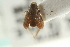 ( - CNC COLEO 00139178)  @11 [ ] CreativeCommons - Attribution (2012) CNC/CBG Photography Group Centre for Biodiversity Genomics