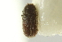  ( - CNC COLEO 00139188)  @11 [ ] CreativeCommons - Attribution (2012) CNC/CBG Photography Group Centre for Biodiversity Genomics