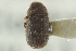  ( - CNC COLEO 00139203)  @12 [ ] CreativeCommons - Attribution (2012) CNC/CBG Photography Group Centre for Biodiversity Genomics