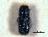  ( - CNC COLEO 00155731)  @11 [ ] CreativeCommons - Attribution (2012) CBG Photography Group Centre for Biodiversity Genomics