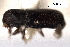  ( - CNC COLEO 00155790)  @11 [ ] CreativeCommons - Attribution (2012) CBG Photography Group Centre for Biodiversity Genomics