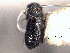  ( - CNC COLEO 00155807)  @11 [ ] CreativeCommons - Attribution (2012) CNC/CBG Photography Group Centre for Biodiversity Genomics