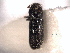  ( - CNC COLEO 00155810)  @11 [ ] CreativeCommons - Attribution (2012) CNC/CBG Photography Group Centre for Biodiversity Genomics