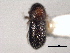  ( - CNC COLEO 00155844)  @11 [ ] CreativeCommons - Attribution (2012) CNC/CBG Photography Group Centre for Biodiversity Genomics