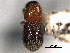  ( - CNC COLEO 00155858)  @11 [ ] CreativeCommons - Attribution (2012) CNC/CBG Photography Group Centre for Biodiversity Genomics