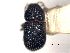  (Phloeotribus geminus - CNC COLEO 00156010)  @11 [ ] CreativeCommons - Attribution (2012) CNC/CBG Photography Group Centre for Biodiversity Genomics