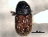  ( - CNC COLEO 00156041)  @11 [ ] CreativeCommons - Attribution (2012) CNC/CBG Photography Group Centre for Biodiversity Genomics