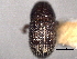 ( - CNC COLEO 00156054)  @11 [ ] CreativeCommons - Attribution (2012) CNC/CBG Photography Group Centre for Biodiversity Genomics