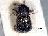  ( - CNC COLEO 00156125)  @11 [ ] CreativeCommons - Attribution (2012) CNC/CBG Photography Group Centre for Biodiversity Genomics