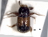  ( - CNC COLEO 00156126)  @11 [ ] CreativeCommons - Attribution (2012) CNC/CBG Photography Group Centre for Biodiversity Genomics