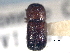  ( - CNC COLEO 00156139)  @11 [ ] CreativeCommons - Attribution (2012) CNC/CBG Photography Group Centre for Biodiversity Genomics