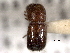  ( - CNC COLEO 00156141)  @11 [ ] CreativeCommons - Attribution (2012) CNC/CBG Photography Group Centre for Biodiversity Genomics
