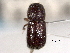  ( - CNC COLEO 00156148)  @11 [ ] CreativeCommons - Attribution (2012) CNC/CBG Photography Group Centre for Biodiversity Genomics