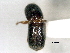  ( - CNC COLEO 00156283)  @11 [ ] CreativeCommons - Attribution (2012) CNC/CBG Photography Group Centre for Biodiversity Genomics