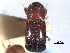  ( - CNC COLEO 00156306)  @11 [ ] CreativeCommons - Attribution (2012) CNC/CBG Photography Group Centre for Biodiversity Genomics