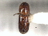  ( - CNC COLEO 00156317)  @11 [ ] CreativeCommons - Attribution (2012) CNC/CBG Photography Group Centre for Biodiversity Genomics