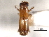  ( - CNC COLEO 00156446)  @11 [ ] CreativeCommons - Attribution (2012) CNC/CBG Photography Group Centre for Biodiversity Genomics
