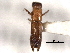  ( - CNC COLEO 00156450)  @11 [ ] CreativeCommons - Attribution (2012) CNC/CBG Photography Group Centre for Biodiversity Genomics