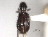  ( - CNC COLEO 00157174)  @11 [ ] CreativeCommons - Attribution (2012) CNC/CBG Photography Group Centre for Biodiversity Genomics