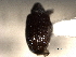  ( - CNC COLEO 00157222)  @11 [ ] CreativeCommons - Attribution (2012) CNC/CBG Photography Group Centre for Biodiversity Genomics