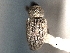  ( - CNC COLEO 00157259)  @11 [ ] CreativeCommons - Attribution (2012) CNC/CBG Photography Group Centre for Biodiversity Genomics