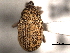  ( - CNC COLEO 00157329)  @11 [ ] CreativeCommons - Attribution (2012) CNC/CBG Photography Group Centre for Biodiversity Genomics