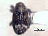  ( - CNC COLEO 00157345)  @11 [ ] CreativeCommons - Attribution (2012) CNC/CBG Photography Group Centre for Biodiversity Genomics