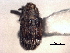  ( - CNC COLEO 00157346)  @11 [ ] CreativeCommons - Attribution (2012) CNC/CBG Photography Group Centre for Biodiversity Genomics