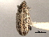  ( - CNC COLEO 00157356)  @11 [ ] CreativeCommons - Attribution (2012) CNC/CBG Photography Group Centre for Biodiversity Genomics