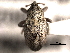  ( - CNC COLEO 00157359)  @11 [ ] CreativeCommons - Attribution (2012) CNC/CBG Photography Group Centre for Biodiversity Genomics