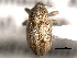  ( - CNC COLEO 00157362)  @11 [ ] CreativeCommons - Attribution (2012) CNC/CBG Photography Group Centre for Biodiversity Genomics