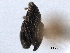  ( - CNC COLEO00157537)  @12 [ ] CreativeCommons - Attribution (2012) CNC/CBG Photography Group Centre for Biodiversity Genomics
