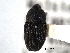  ( - CNC COLEO 00157585)  @11 [ ] CreativeCommons - Attribution (2012) CNC/CBG Photography Group Centre for Biodiversity Genomics