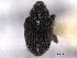  ( - CNC COLEO 00157632)  @13 [ ] CreativeCommons - Attribution (2012) CNC/CBG Photography Group Centre for Biodiversity Genomics