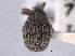  ( - CNC COLEO 00157677)  @11 [ ] CreativeCommons - Attribution (2012) CNC/CBG Photography Group Centre for Biodiversity Genomics