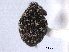  ( - CNC COLEO 00157680)  @11 [ ] CreativeCommons - Attribution (2012) CNC/CBG Photography Group Centre for Biodiversity Genomics