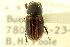  ( - CNC COLEO 00123291)  @11 [ ] CreativeCommons - Attribution (2011) CNC/CBG Photography Group Centre for Biodiversity Genomics
