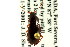  ( - CNC COLEO 00118595)  @14 [ ] CreativeCommons - Attribution (2011) CNC/CBG Photography Group Centre for Biodiversity Genomics